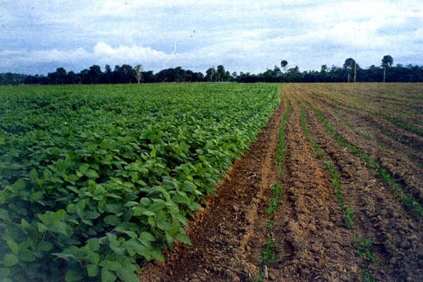 Santarém e a sua vocação econômica - 24.06.2017